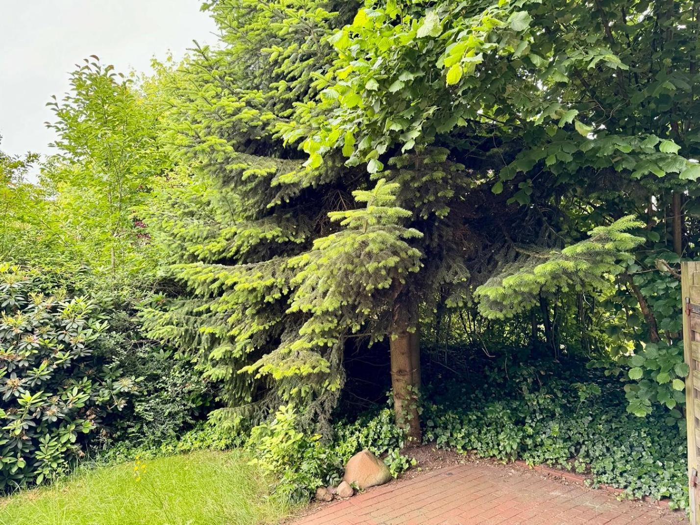 Huus Freonskip Dangast Buitenkant foto